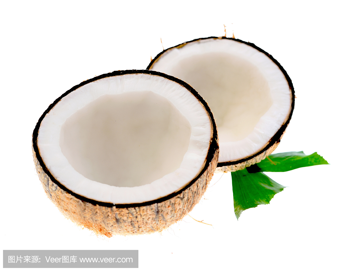 白色背景上的椰子和樹葉
